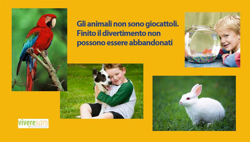 Pets e Bambini Pets e Bambini